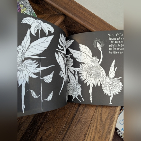 The Fairyland Colouring Book & Fairies in Wonderland 2 Coloring Books for adults - Picture 8 of 11